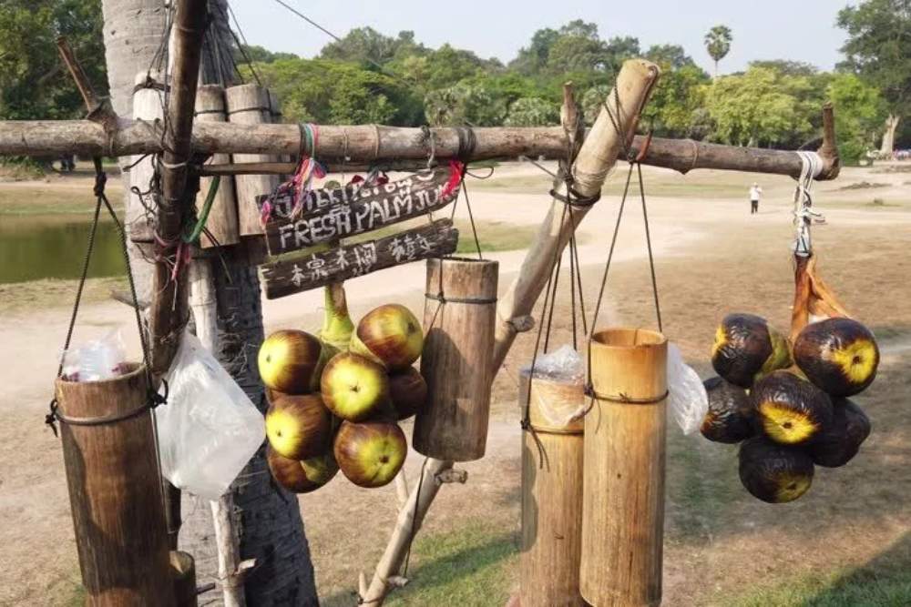 מיץ דקלים - מאכל חתימה של קמבודיה.